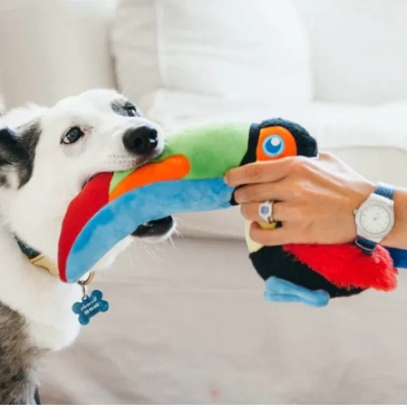 NEW Tico the Toucan dog toy - Picture 1 of 6